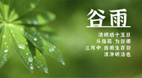 【二十四節(jié)氣灸】谷雨時(shí)節(jié)，用艾為您的健康加上一道保險(xiǎn)！