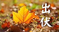 【三伏養(yǎng)生】出伏后做好養(yǎng)生很關鍵！一行要注意！
