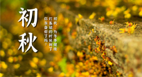 【艾灸知識】初秋，為冬季健康打基礎的時候到了，你準備好了嗎？