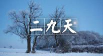【三九養(yǎng)生】冬二九，扶陽(yáng)補(bǔ)腎氣，讓你陽(yáng)氣充足一整年！