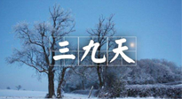 【三九養(yǎng)生】冬三九，三九第三灸，一年中最后艾灸黃金9天！