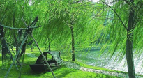 【養(yǎng)生知識(shí)】元宵入六九，春季已至，六九天的養(yǎng)生知識(shí)你知道多少？