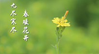 【九九養(yǎng)生】三月四日“九九日”，寒冬已過(guò)。春天養(yǎng)好身，全年不怕?。? />
                    </a>
                </div>
            </li>
            
            <li id=