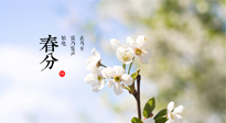 【二十四節(jié)氣灸】春分，平分了大地晝夜；艾灸，平衡了身體陰陽(yáng)！