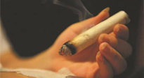【艾灸知識(shí)】春暖花開，衣衫漸薄，再不減肥，身上的肉肉可藏不住了！