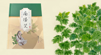 【行業(yè)資訊】國(guó)內(nèi)首部艾草專著《南陽(yáng)艾》，在南陽(yáng)新書首發(fā)！