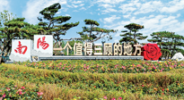 【行業(yè)資訊】南陽一個值得三顧的地方！“丹江水”“仙草艾”成為 “南陽禮物”新爆款！