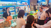 【行業(yè)資訊】南陽攜超千款名優(yōu)產(chǎn)品在廣州開展產(chǎn)銷對接，仙草艾首次亮相大灣區(qū)！