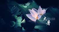 【二十四節(jié)氣灸】趁大暑好好艾灸，才不辜負(fù)三伏天的驕陽！