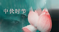 【艾灸三伏天】中伏：三伏灸的關(guān)鍵轉(zhuǎn)折點(diǎn)！“灸”除病根的大好時(shí)機(jī)！