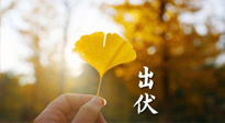 【艾灸三伏天】出伏啦！三防三宜兩穴位，防止身體“秋后算賬”！