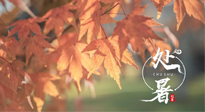 【二十四節(jié)氣灸】處暑，冬病夏治倒計(jì)時(shí)！秋涼真的要來(lái)了！