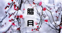 【臘月養(yǎng)生】調(diào)氣血、補陽氣、促進良好睡眠，健康一整年！