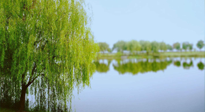 【艾灸知識】春三月，必艾灸穴位：疏肝理氣，養(yǎng)血調(diào)神！