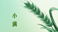 【二十四節(jié)氣灸】小滿節(jié)氣記得艾灸，悠悠長夏，健康度過！
