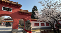 【行業(yè)資訊】新華財經：守正創(chuàng)新，中醫(yī)藥品牌化發(fā)展“更上一層樓”！