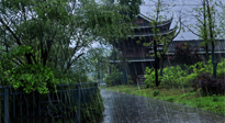 【艾灸知識】多雨的日子里，艾灸會不會加重濕氣呢？