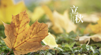 【節(jié)氣養(yǎng)生】甲辰立秋，“2做”、“2不做”，護好我們身體的正氣，預防外邪的侵襲！
