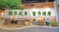 【艾草知識】小小艾草，渾身是寶，一生燃盡此身，皆為健康！